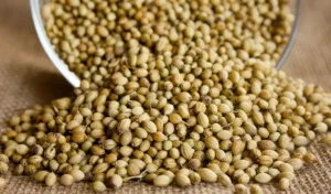 हर दिन Coriander Seeds का पानी पीने से Diabetes को Manag करने में कैसे मदद मिल सकती है।